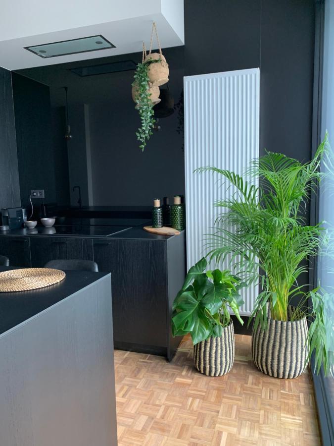 Zwarte Gracht Villa Zottegem Eksteriør bilde
